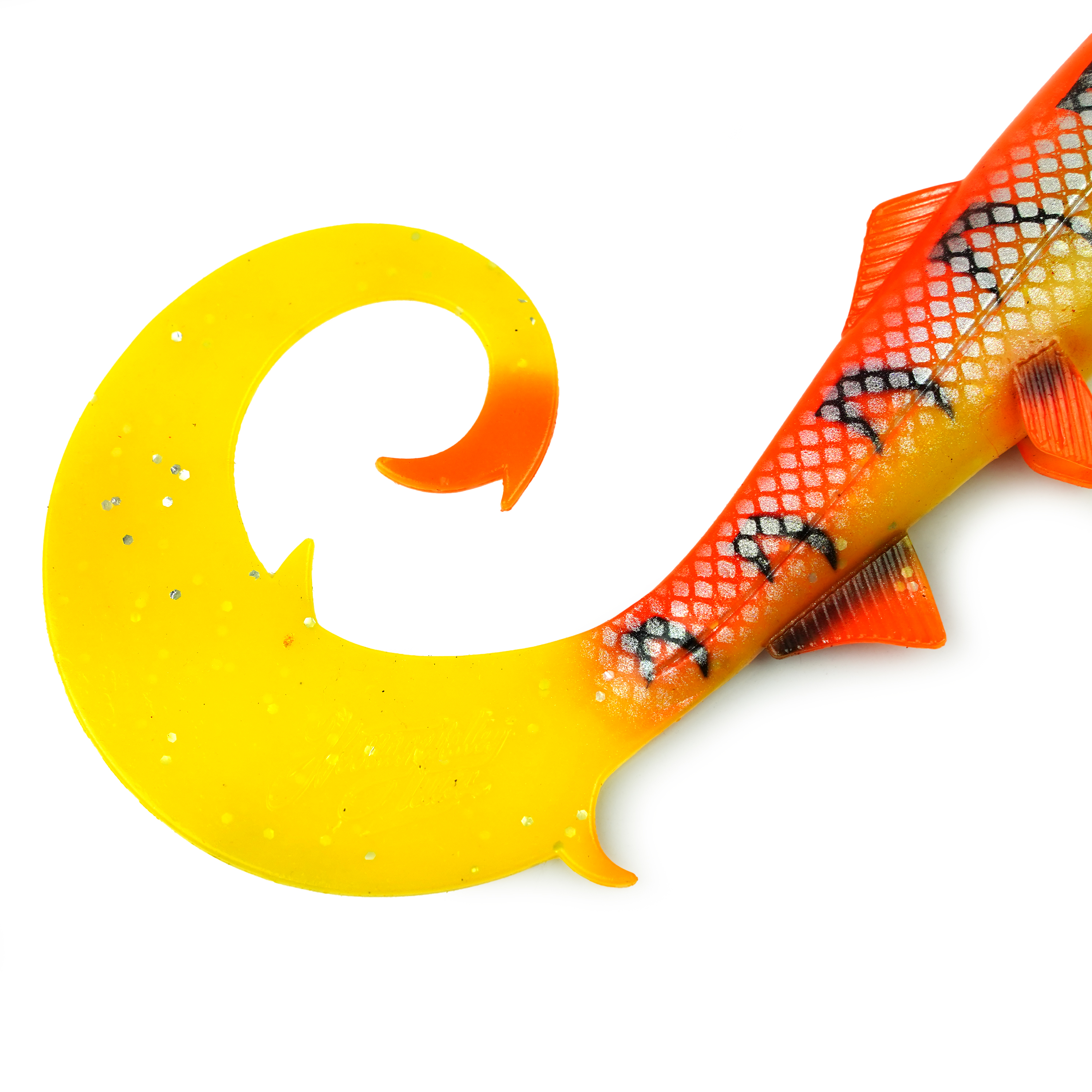 Hostagevalley Curlytail - Poisson Flamme - 24cm