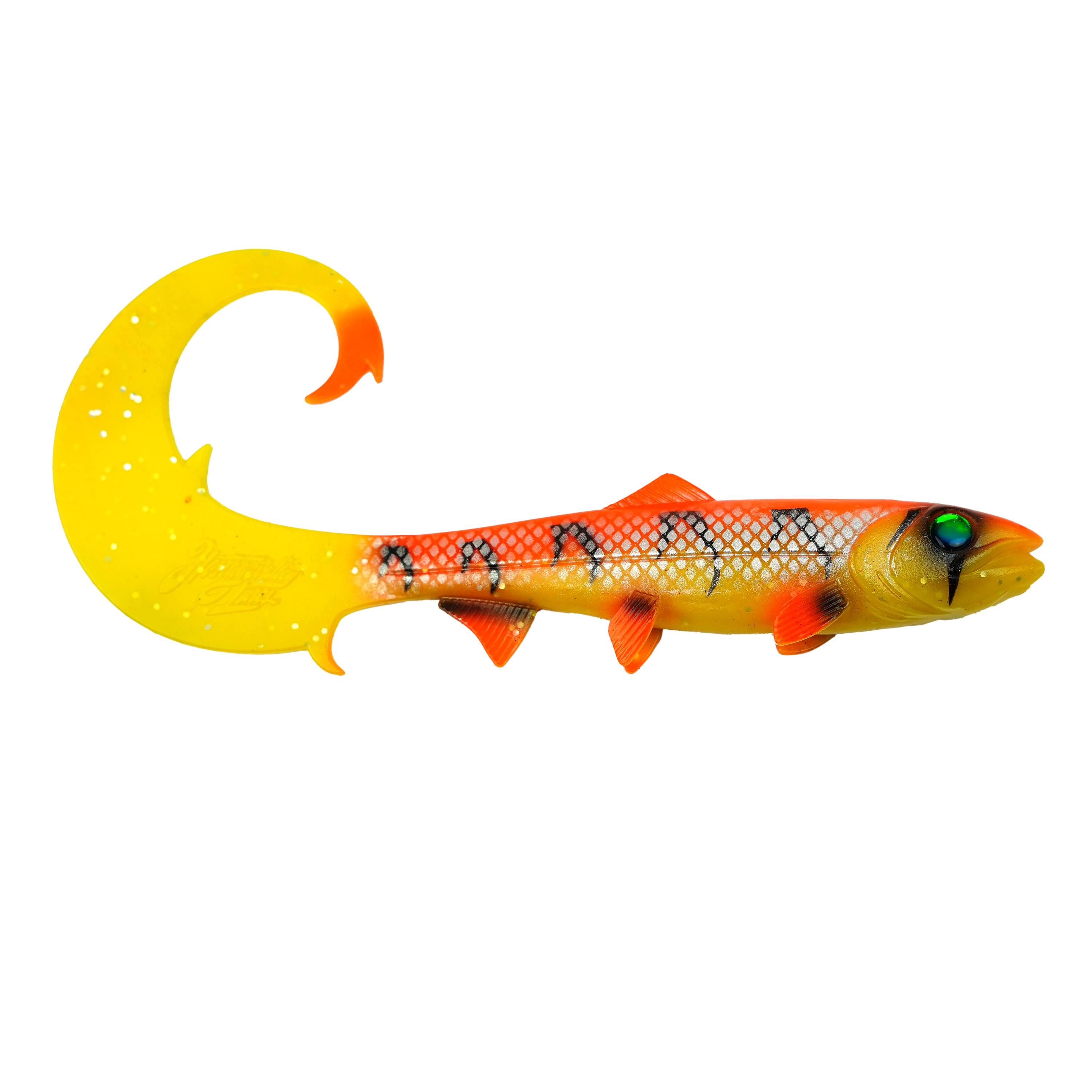 Hostagevalley Curlytail - Poisson Flamme - 24cm