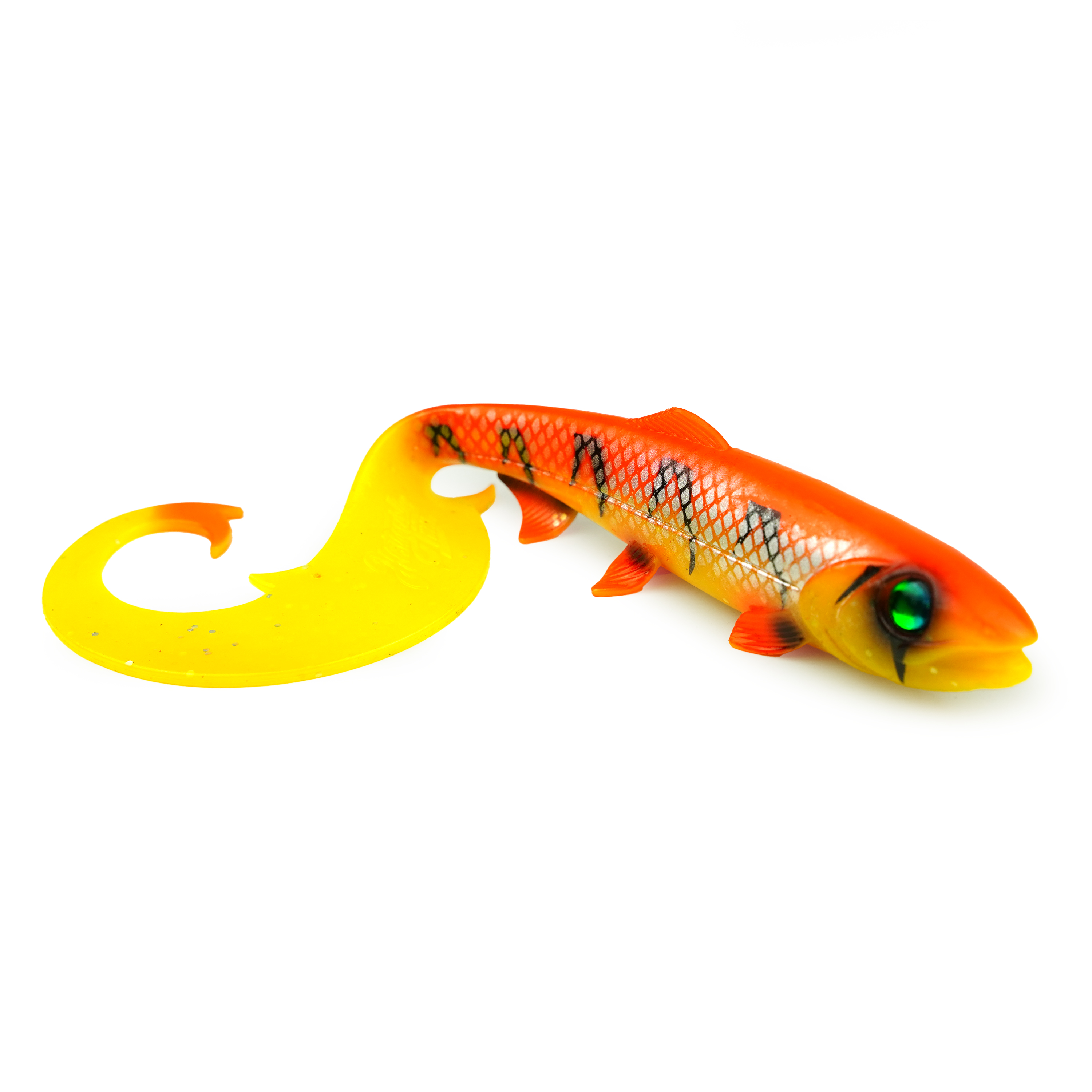 Hostagevalley Curlytail - Poisson Flamme - 24cm