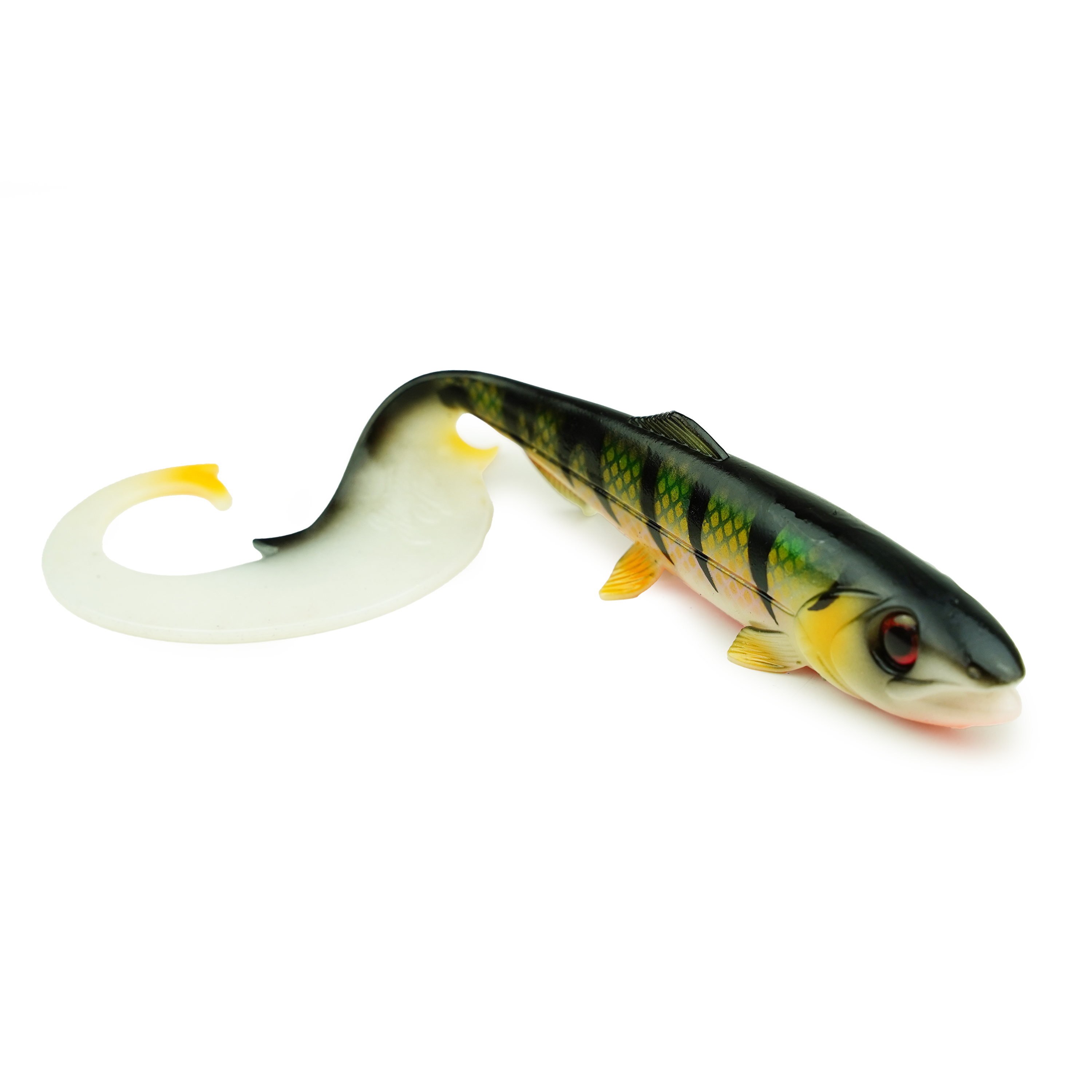 Hostagevalley Curlytail - Perche Pourpre - 24cm