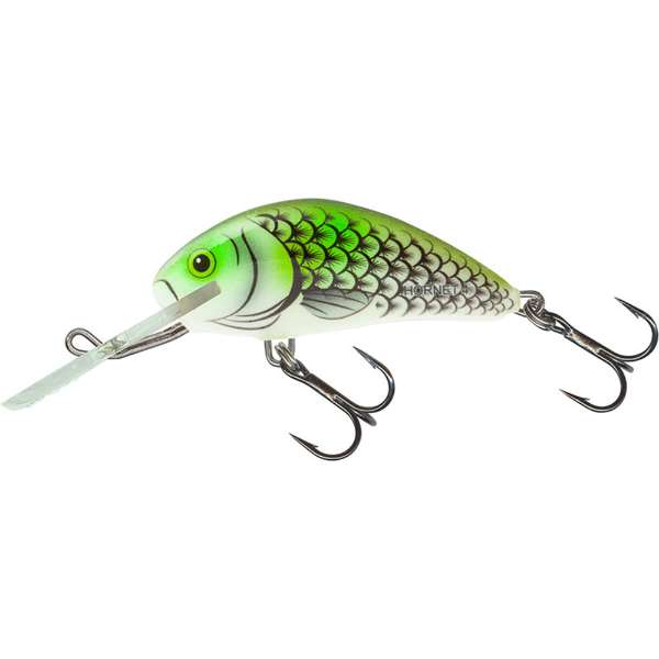 Hornet - Floating - Olive Hot Spot - 4cm - Poisson Nageur