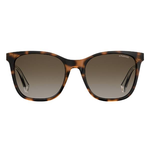 PLD 4059/S - DK Havana - Lunette de soleil
