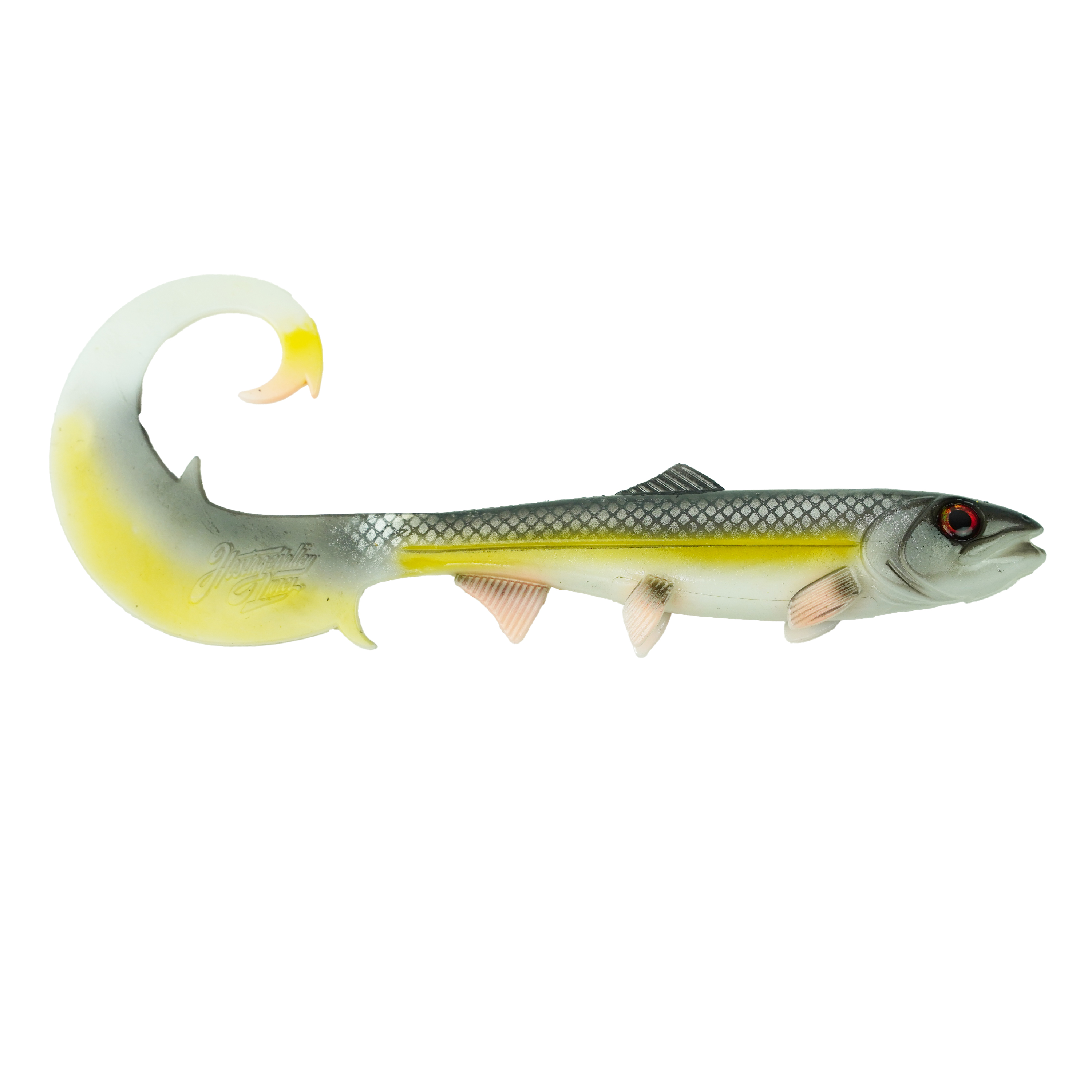 Hostagevalley Curlytail - Vivaneau Orange - 18cm
