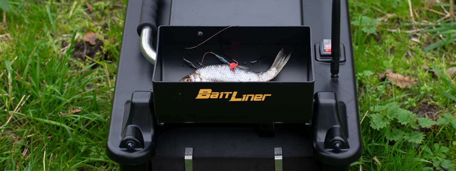 Pêche au poisson mort avec un bateau d'appât