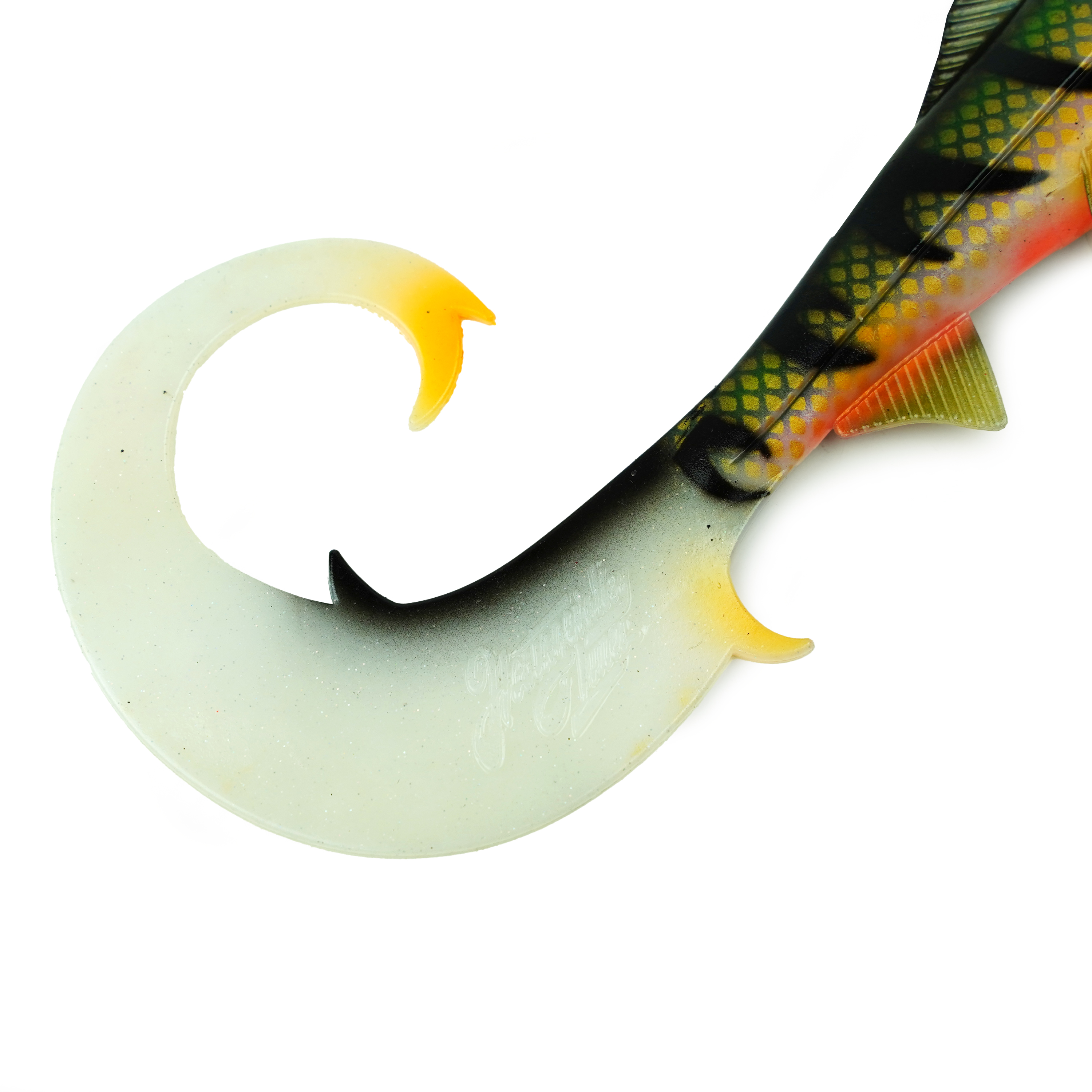 Hostagevalley Curlytail - Perche Pourpre - 24cm