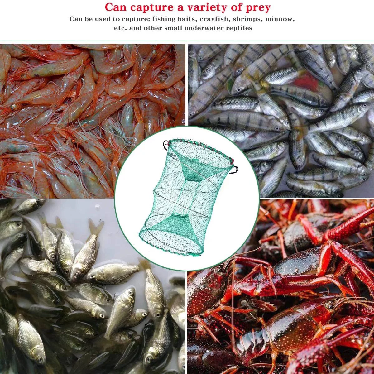 Piège à homard Eurocatch - Piège à écrevisses - pliable - 55x25x25cm