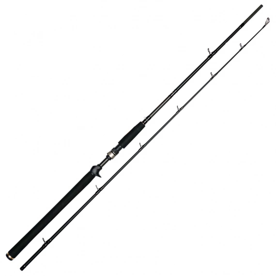 Westin W3 Jerkbait-T 2nd H | 195cm | 20-80g | 2-teilig | Jerkbait-Rute