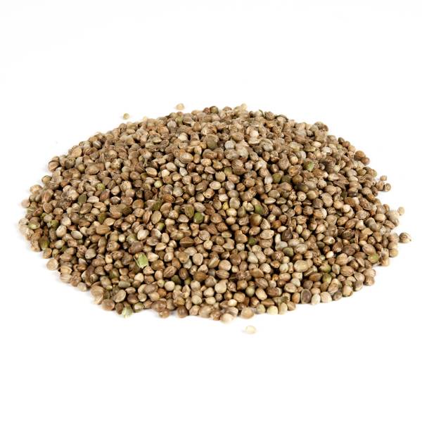 Graine de chènevis - 5kg