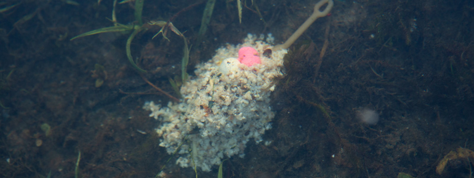 Method-Korb unter Wasser Method-Korb unter Wasser