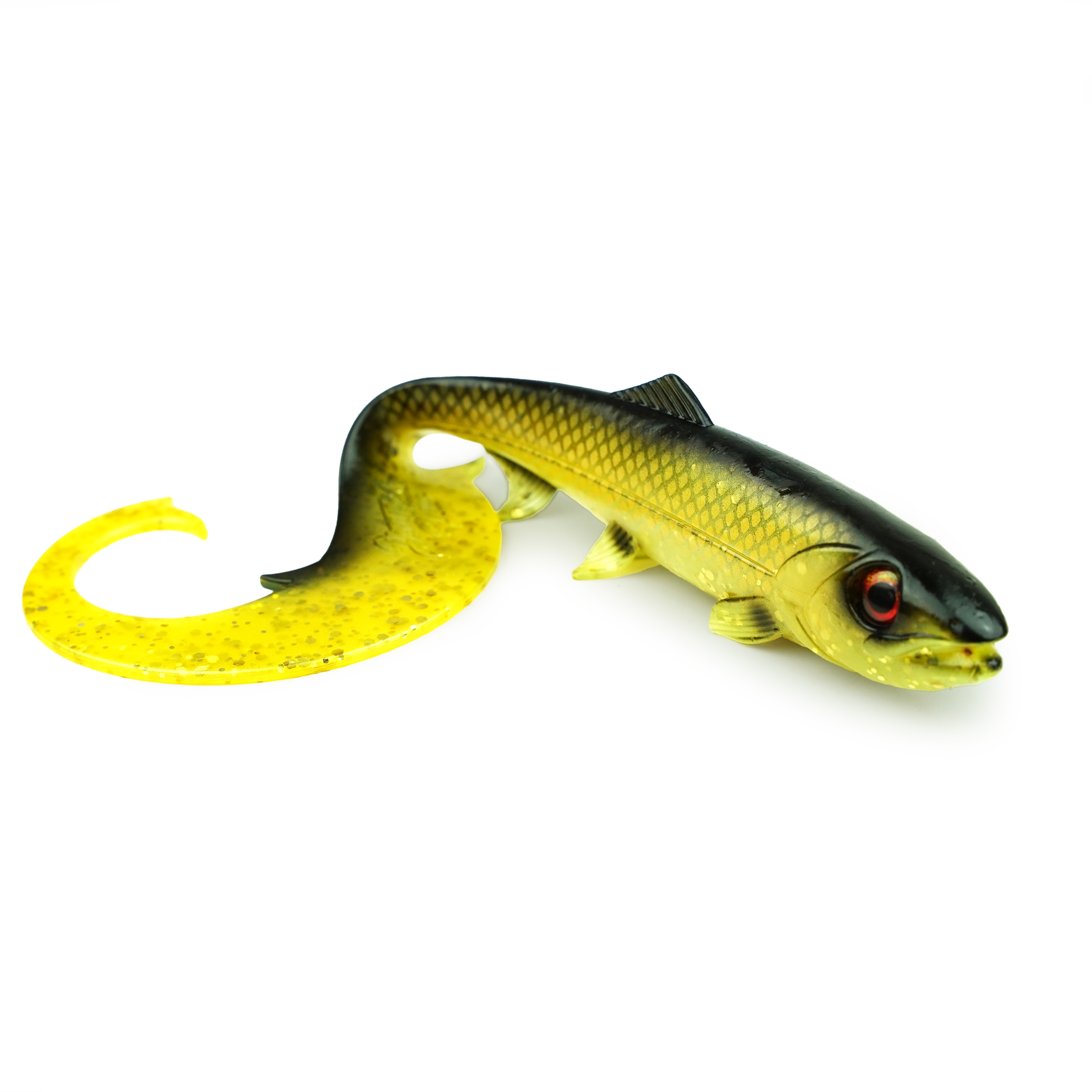 Hostagevalley Curlytail - Jade Dorée - 18cm