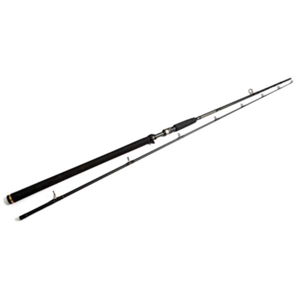 W3 Powercast-T 2nd XH - 248cm - 20-80g - 2-sec - Canne Casting
